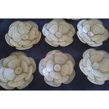 Set of 6 Pieces shell...