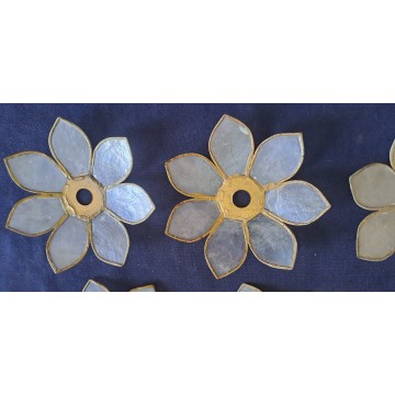 Set of 12 Pieces shell...